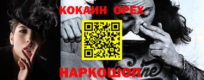 индика Кингисепп