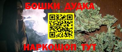 индика Кингисепп