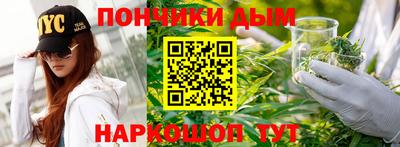 индика Кингисепп