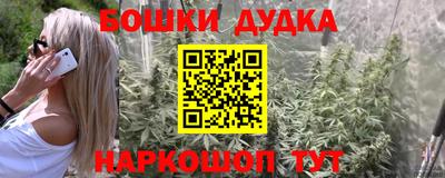 индика Кимры
