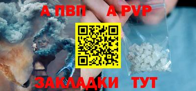 индика Кингисепп