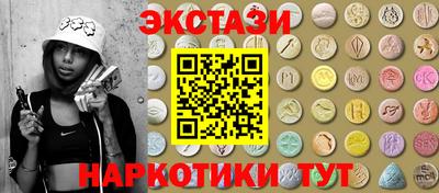 индика Кингисепп