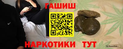 индика Кингисепп