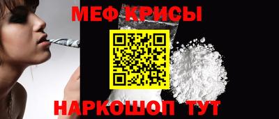 индика Кингисепп