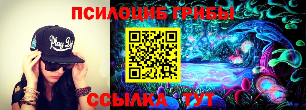 Ленинск-Кузнецкий  закладка  Псилоцибиновые грибы MAGIC MUSHROOMS  Вход с VPN  Галлюциногенные грибы MAGIC MUSHROOMS 